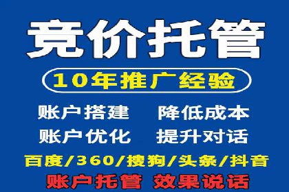 谷歌竞价案例：教育行业广告投放策略解析